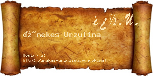 Énekes Urzulina névjegykártya